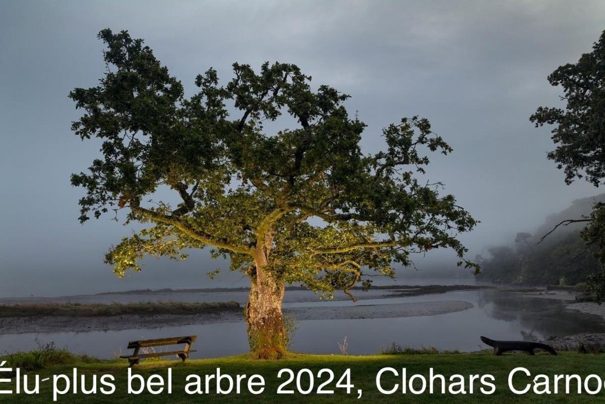 Ty Glazu Doelan Espace 60M2, Port& Criques A Pied, 2 Chambres Privees Au 1Er Etage, Sdb, Wc Separe Clohars-Carnoët Exteriér fotografie